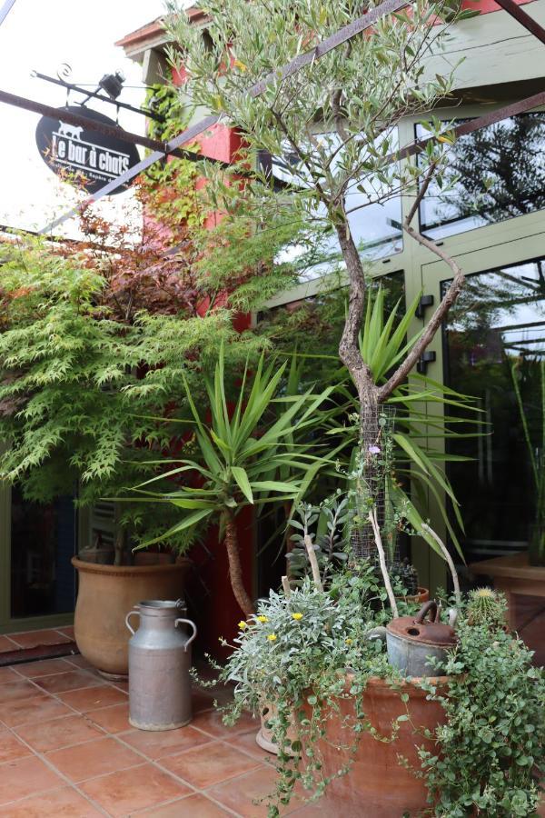 Grand Loft De Charme, Place Du Village A Thuir Exterior photo